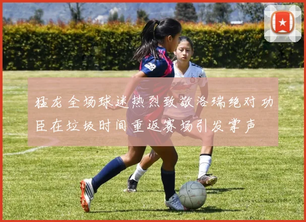猛龙全场球迷热烈致敬洛瑞绝对功臣在垃圾时间重返赛场引发掌声